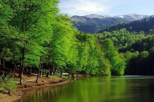 Petit Dilijan Bed & Breakfast エクステリア 写真